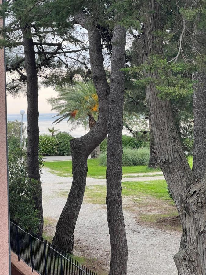 Grand F3 Vue Mer Centre Plage Proche Commerces Plage d'Argeles Bagian luar foto